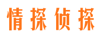 点军捉小三公司